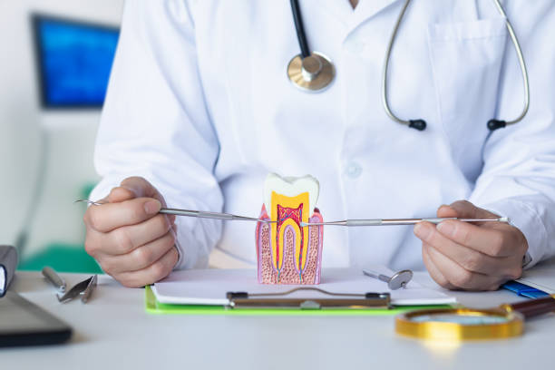 Best Emergency Dental Extractions in Houston, PA